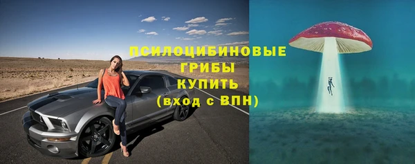 альфа пвп Новокубанск