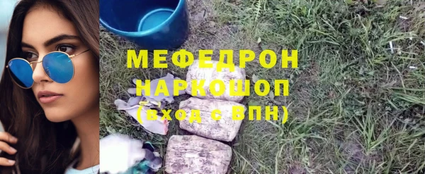 индика Вяземский