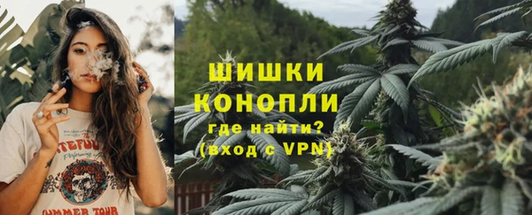 МДПВ Алзамай