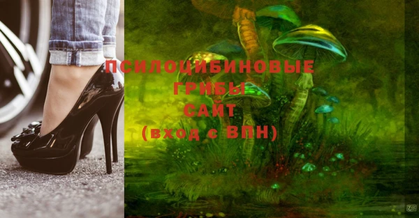 твердый Горняк