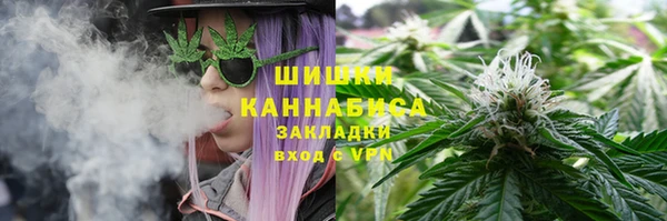 скорость Новозыбков