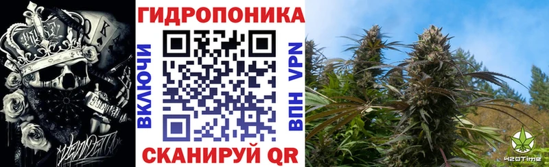 Бошки Шишки LSD WEED  мега сайт  Никольск 